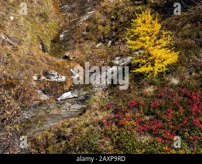 Soleggiata idilliaca scena alpina autunnale. Tranquilla Alpi vista montagna dal sentiero da Dorfgastein ai laghi Paarseen, Land Salzburg, Austria. Picturesqu Foto Stock