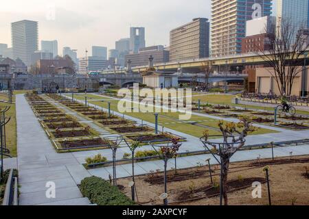 Bel Giardino Di Nakanoshima Rose Garden Ad Osaka Osaka. Inizio di sakura ( fiore di ciliegio ) Foto Stock