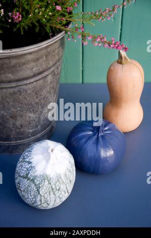 Decorazioni autunnali fai da te con erica e zucca ornamentale Foto Stock