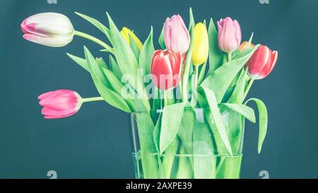 Tulipani colorati in un vaso Foto Stock