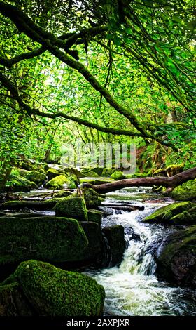 Le cascate Golitha, vicino a Bodmin Moor in Cornovaglia, sono una serie di spettacolari cascate e cascate lungo una sezione del fiume Fowey Foto Stock