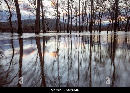 Riflessioni della foresta allagata al tramonto creato dal fiume Ampio francese che trabocca le sue rive dopo piogge pesanti. Hap Simpson Park, Brevard, North Carol Foto Stock