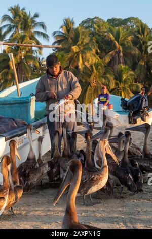 Puerto Escondido, Oaxaca, Messico - La Gente arriva all'alba sulla spiaggia principale di Puerto Escondido per acquistare pesce fresco catturato dagli equipaggi di piccolo pesca bo Foto Stock