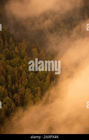 Nebbia e nuvole sopra una foresta nella luce della sera fotografata dall'alto Foto Stock