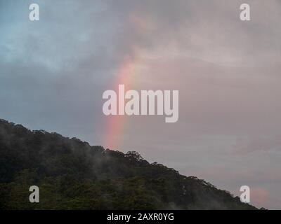 Un Arcobaleno verticale Foto Stock
