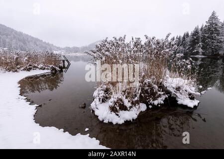 Isola di Reed su wintry Geroldsee, chiamato anche Wagenbrüchsee Foto Stock