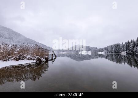 Isola di Reed su wintry Geroldsee, chiamato anche Wagenbrüchsee Foto Stock