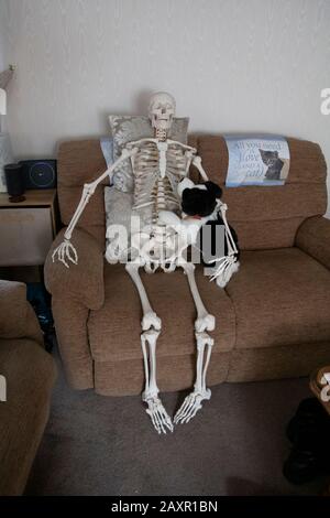 Scheletro seduto su divano con cane, Droitwich Spa, Inghilterra, Regno Unito, 8/02/2020, Skeleton seduto su divano con cane divertimento per Halloween ideale per poster Foto Stock