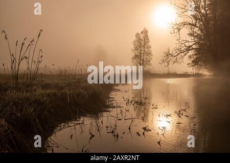 Misty Mood al mattino presto al Geroldsee vicino Garmisch-Partenkirchen nelle Alpi Bavaresi. Foto Stock