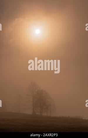 Misty Mood al mattino presto al Geroldsee vicino Garmisch-Partenkirchen nelle Alpi Bavaresi. Foto Stock