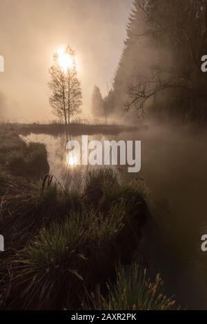 Misty Mood al mattino presto al Geroldsee vicino Garmisch-Partenkirchen nelle Alpi Bavaresi. Foto Stock