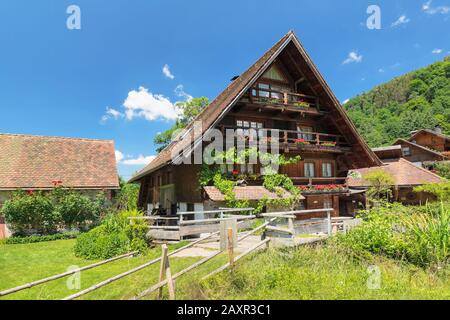 Frantoio, Simonswald, Foresta Nera, Baden-Wurttemberg, Germania Foto Stock