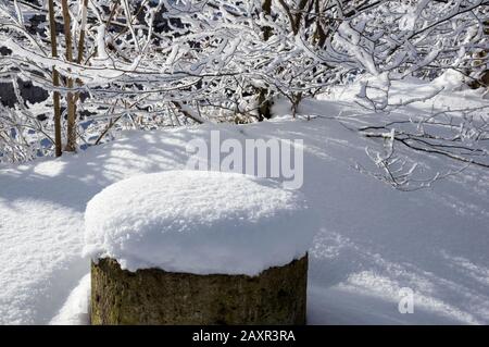 Germania, Baden-Wuerttemberg, Riedlingen-Zwiefaltendorf, inverno, neve incontaminata su una pietra nel giardino del castello di Zwiefaltendorf. Foto Stock