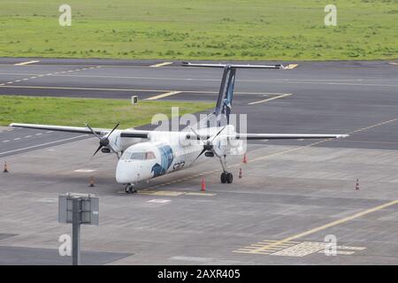 Ponta Delgada, Azzorre - Febbraio 2020: Aereo SATA Azzorre sull'aeroporto di Joao Paulo II a Ponta Delgada, Portogallo. Foto Stock