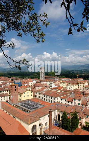 Una splendida vista dell'architettura toscana dalla cima della Torre delle ore, la torre più alta di Lucca, Italia. Foto Stock