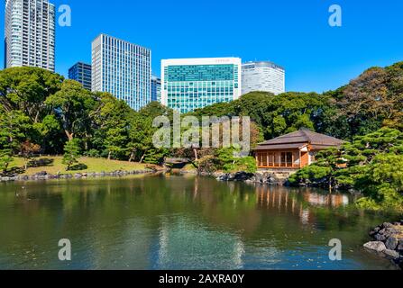 Giardini di Tokyo Hamarikyu Japan City Park Giardini Giapponesi di Hama Rikyu Foto Stock