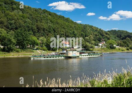 Storico battello a vapore sull'Elba, Svizzera Sassone National Park, in Sassonia, Germania Foto Stock