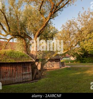 Boathouses a Diessen am Ammersee, Baviera, Germania Foto Stock