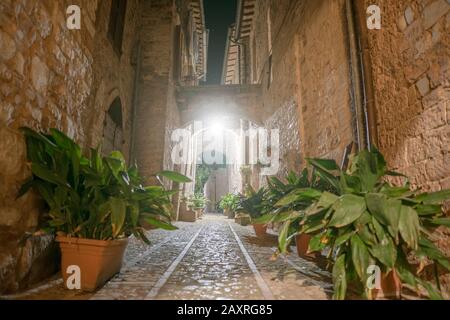 Notte a Spello, provincia di Perugia, Umbria, Italia Foto Stock