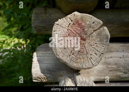 Tronchi di una tradizionale capanna di legno alla gola di Partnach in estate, Garmisch, Partenkichen, Baviera, Germania Foto Stock