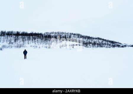 Svezia, Lapponia, Abisko, escursionisti su congelati Torneträsk Foto Stock