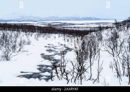 Svezia, Lapponia, Abisko, vista su Torneträsk Foto Stock