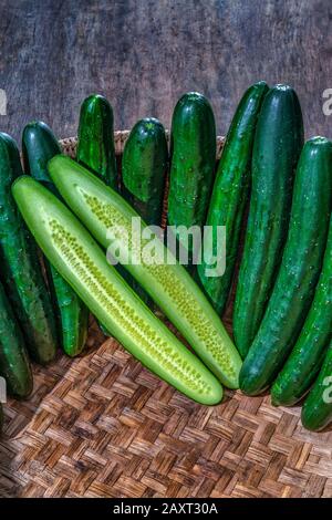 Il cetriolo di tipo giapponese viene coltivato in modo biologico a da Lat, Vietnam. Foto Stock