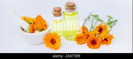 L'estratto di calendula. Piante medicinali. Messa a fuoco selettiva di natura Foto Stock