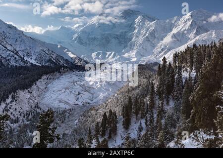 Neve foresta vicino Nanga Parbat montagna ghiacciaio inverno. Prati fairy, Pakistan Foto Stock