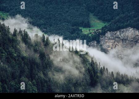 Paesaggio di montagne coperte di foreste e nebbia sotto luce solare Foto Stock