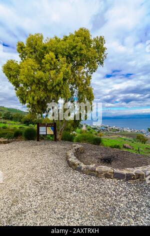 Tiberias, Israele - 10 febbraio 2020: Vista della Foresta Svizzera e del Mare di Galilea (Lago di Kinneret), Israele settentrionale Foto Stock