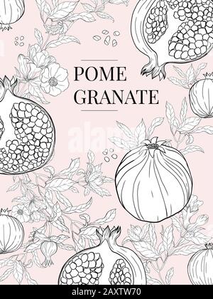 Fiore D'Epoca E Frutteto, Illustrazione Botanica, Pomegranate Illustrazione Vettoriale