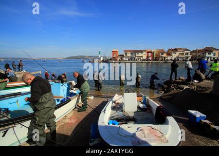 Pesca di orata al quartiere di Pointe Courte a Sete, Occitanie Francia Foto Stock