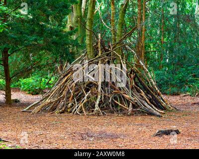 Una struttura di legno ruvida fatta di ramoscelli e ramificazioni serve come una fossa boschiva in una radura forestale Foto Stock