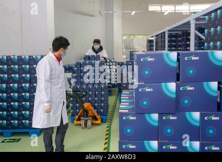 I lavoratori cinesi fabbricano reagente per la rilevazione di acidi nucleici per il nuovo coronavirus presso la fabbrica di Comwin Biotech a Taizhou City, nella Cina orientale Jiangs Foto Stock
