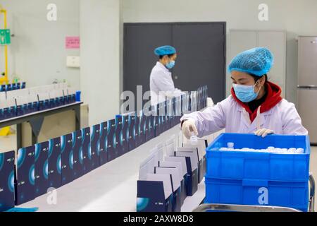 I lavoratori cinesi fabbricano reagente per la rilevazione di acidi nucleici per il nuovo coronavirus presso la fabbrica di Comwin Biotech a Taizhou City, nella Cina orientale Jiangs Foto Stock