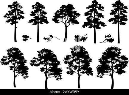 Silhouette di alberi Illustrazione Vettoriale