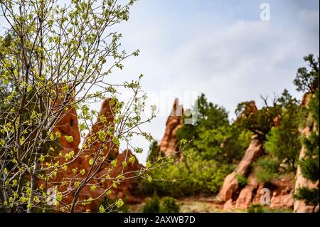 Parco pubblico Garden of the Gods a Colorado Springs, Colorado, Stati Uniti Foto Stock