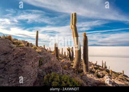 Appartamento Di Sale Di Uyuni, Bolivia Foto Stock