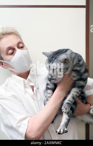 Colpo verticale di veterinario femmina nella maschera che tiene un gatto Foto Stock