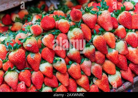 Fragola A Baguio City, Filippine Foto Stock