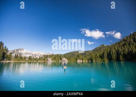 Montare le piastre donna in piedi su paddle board sul lago blu. Foto Stock