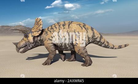 Triceratops, passeggiata a dorso di dinosauro, animale preistorico giurassico in ambiente natura deserto, illustrazione 3D Foto Stock