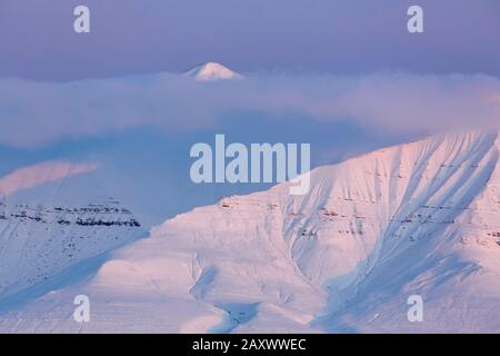 Cima di montagna coperta di neve parzialmente nascosta dalla nube al tramonto a Billefjorden, fiordo centrale dell'Isfjorden, Svalbard / Spitsbergen, Norvegia Foto Stock