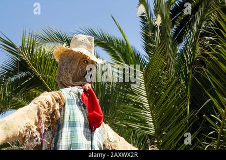 Scarecrow in field in Spain Foto Stock