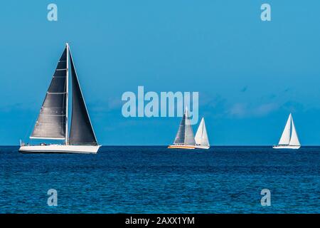 Una linea di yacht da corsa a Grand Anse Beach, St George's, Grenada Foto Stock