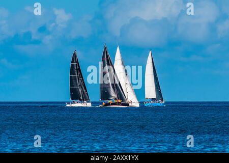 Quattro yacht da corsa a Grand Anse Beach, St George's, Grenada Foto Stock