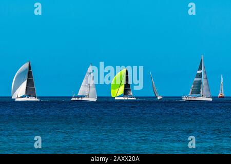 Cinque yacht da corsa a Grand Anse Beach, St George's, Grenada Foto Stock