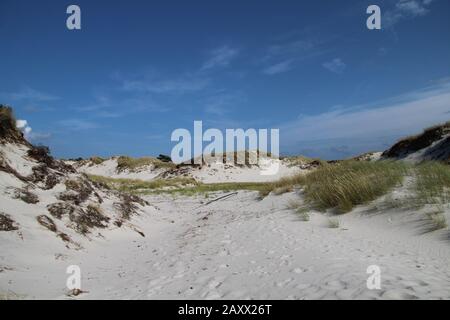Bella foto di una spiaggia di sabbia bianca a dueodde bornholm, danimarca Foto Stock