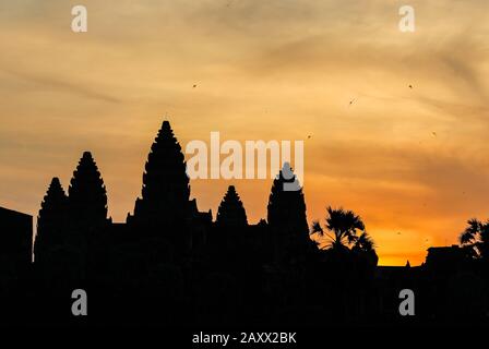 Sun Rise con Swift che volano sul tempio di Angkor Wat in silhouette, Angkor Wat Complex, Siem Reap, Cambogia, Asia Foto Stock